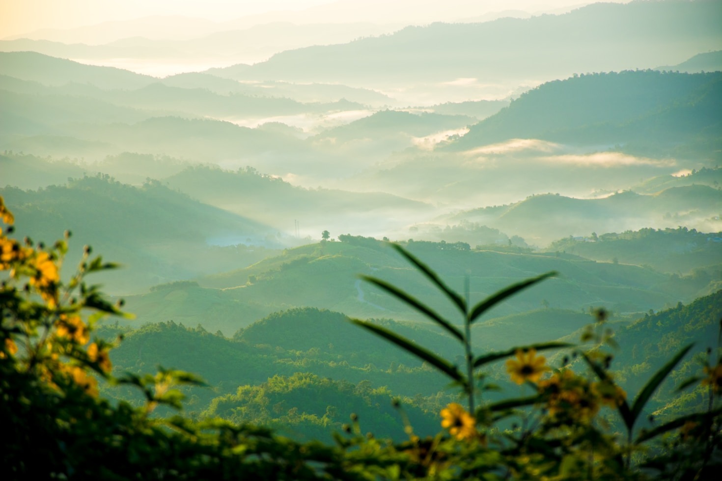 La Via del Silenzio: Meditazioni Orientali